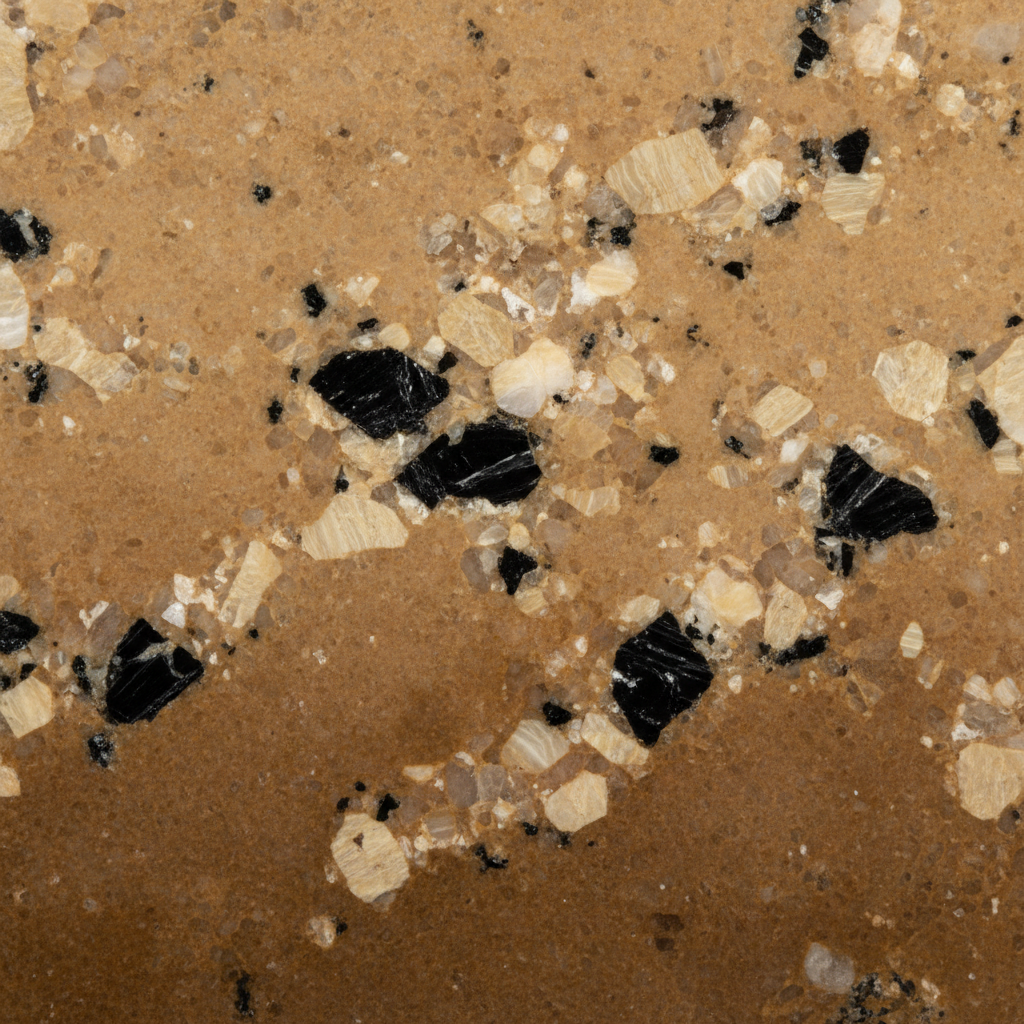 Tan brown granite specimen showing dark brown base with black and beige crystal inclusions